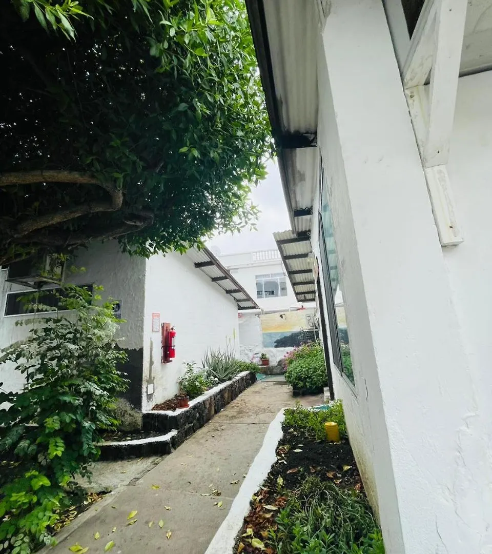 Casa de hóspedes Hostal Darwin Puerto Ayora