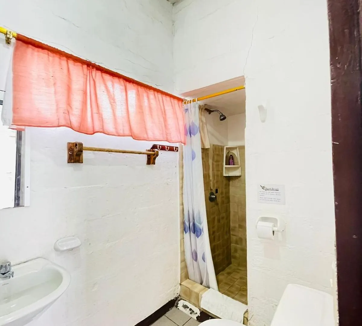 Hostal Darwin Puerto Ayora  Pensjonat