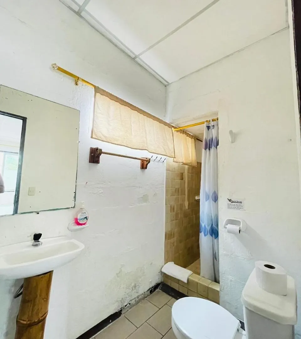 Pensjonat Hostal Darwin Puerto Ayora